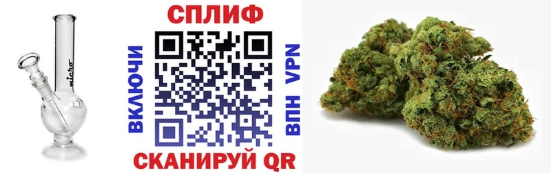 ГАШ Цимлянск