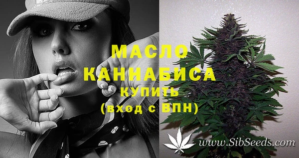тгк Абинск