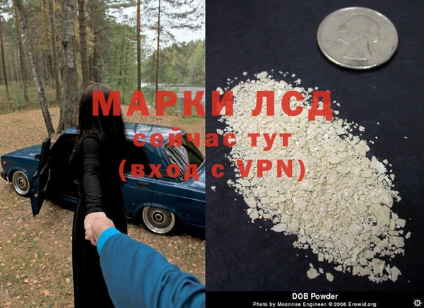 твердый Абаза