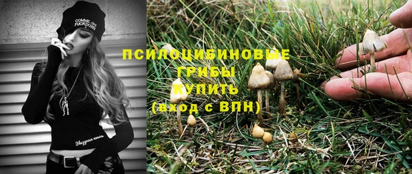 меф Пересвет