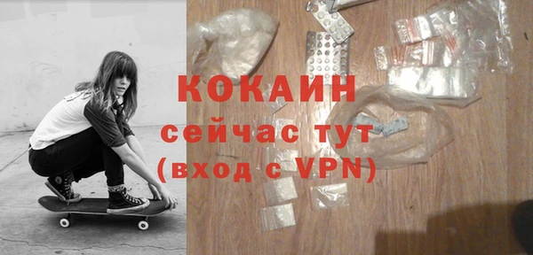 твердый Абаза
